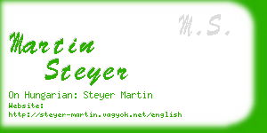 martin steyer business card